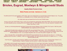 Tablet Screenshot of briolen-moelwyn.com